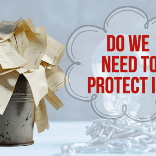What if No IP Protection Existed?